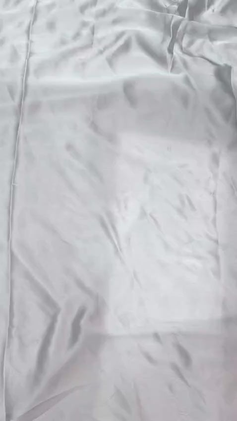 Glass Tissue Organza Saree